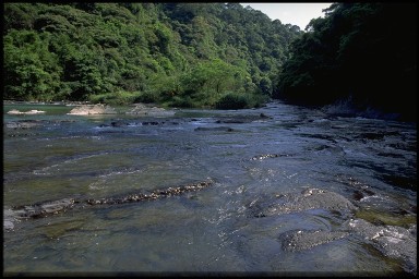 06340067