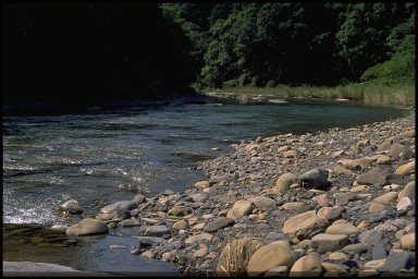 06340069