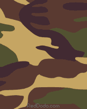 camouflage176x220