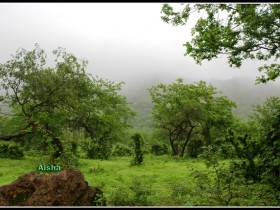 صور من ابداع اعضاء عمان فوتو