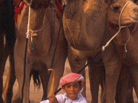 صور من ابداع اعضاء عمان فوتو