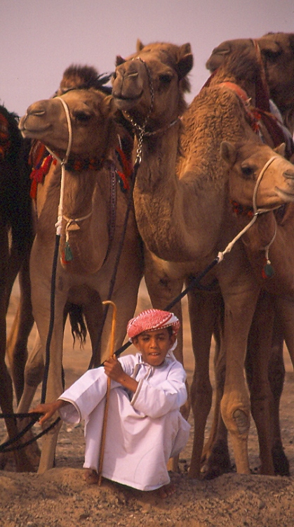صور من ابداع اعضاء عمان فوتو