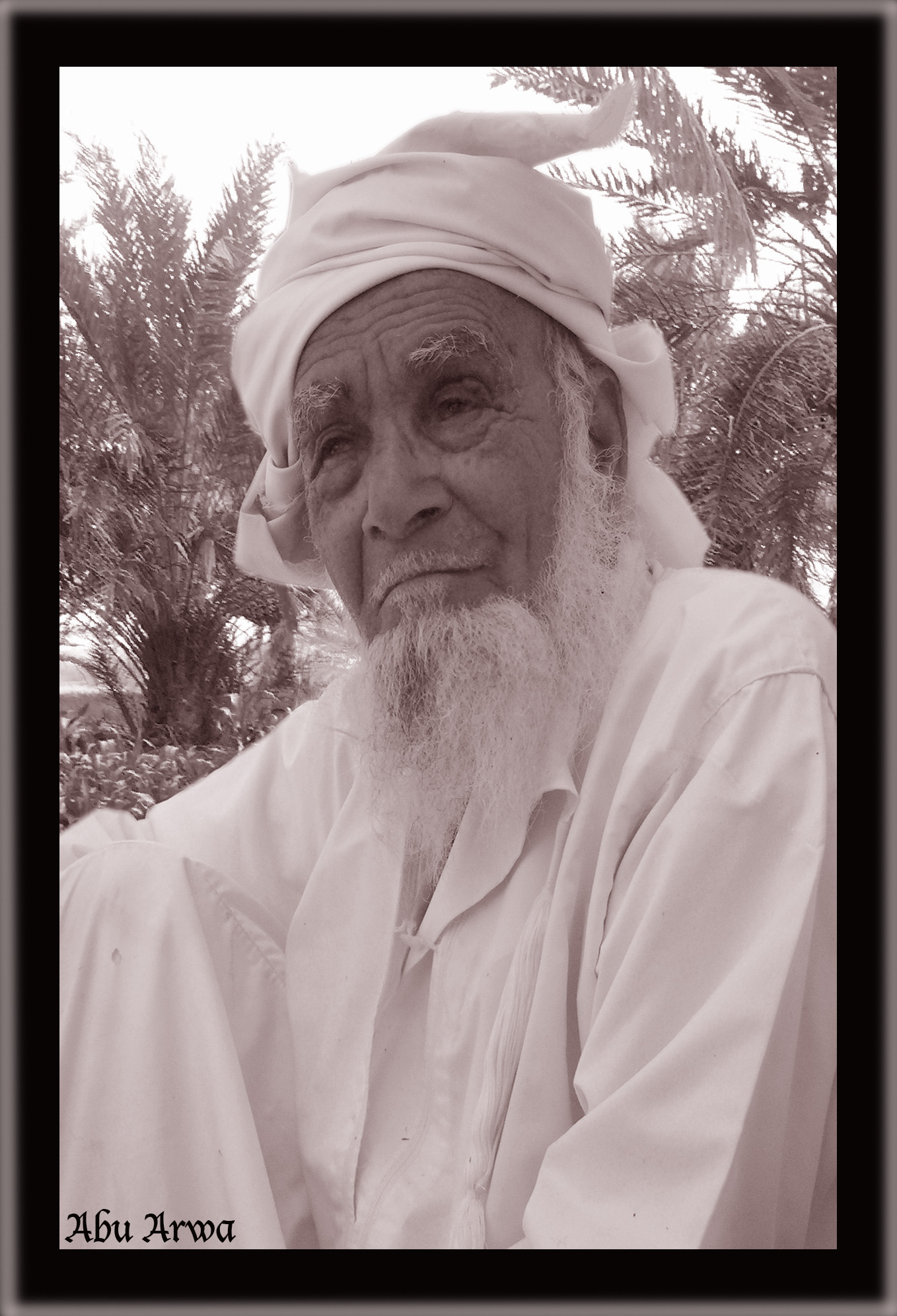 صور من ابداع اعضاء عمان فوتو