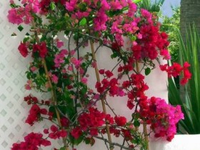 صور منوعة من الإنترنت