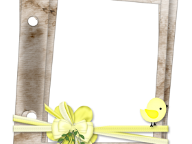 BVS_naturepower_frame08
