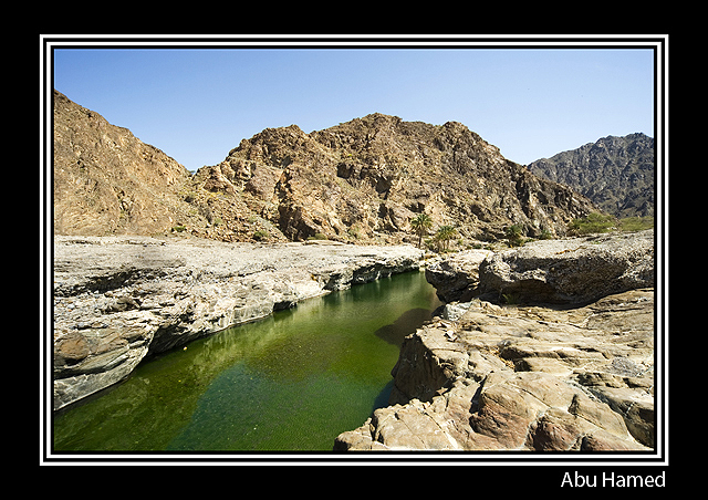 صور من ابداع اعضاء عمان فوتو