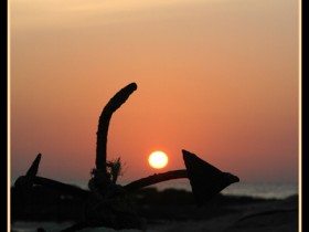 صور من ابداع اعضاء عمان فوتو