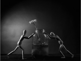 صور منوعة من الإنترنت