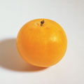 F0003774_1_
