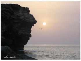 صور من ابداع اعضاء عمان فوتو