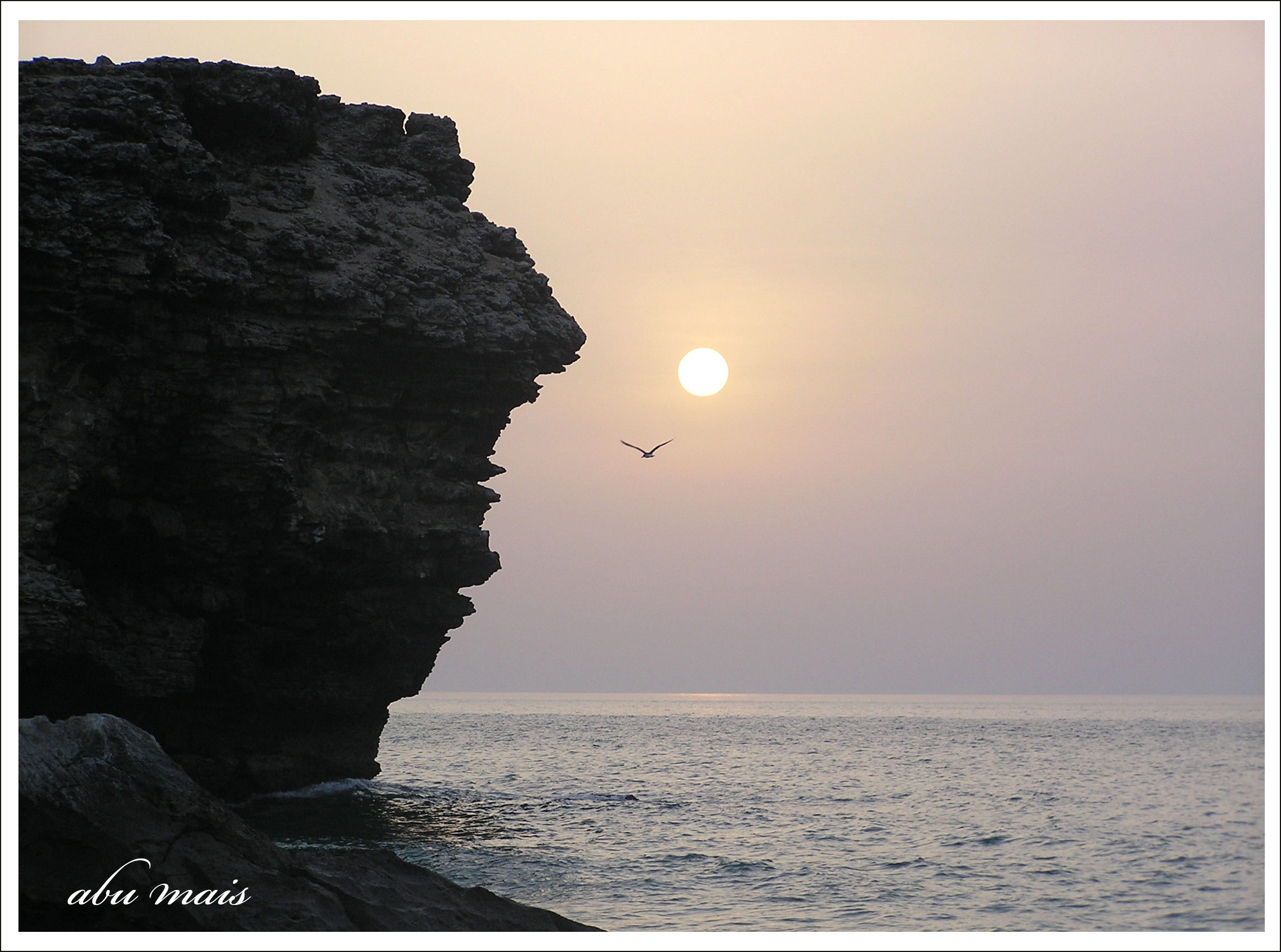 صور من ابداع اعضاء عمان فوتو