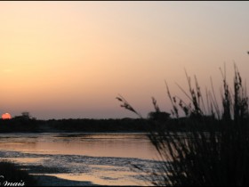 صور من ابداع اعضاء عمان فوتو