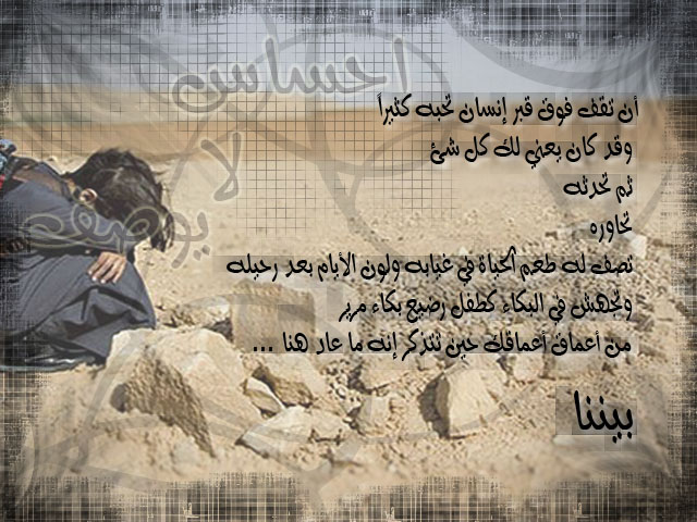 صور من ابداع اعضاء عمان فوتو