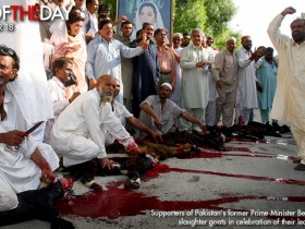 صور من العالم