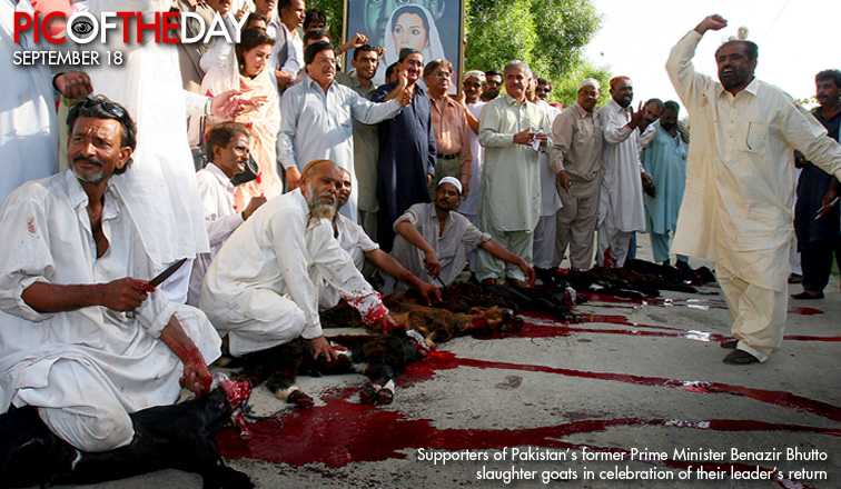 صور من العالم