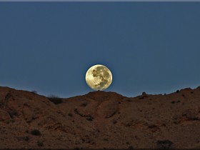 صور من ابداع اعضاء عمان فوتو