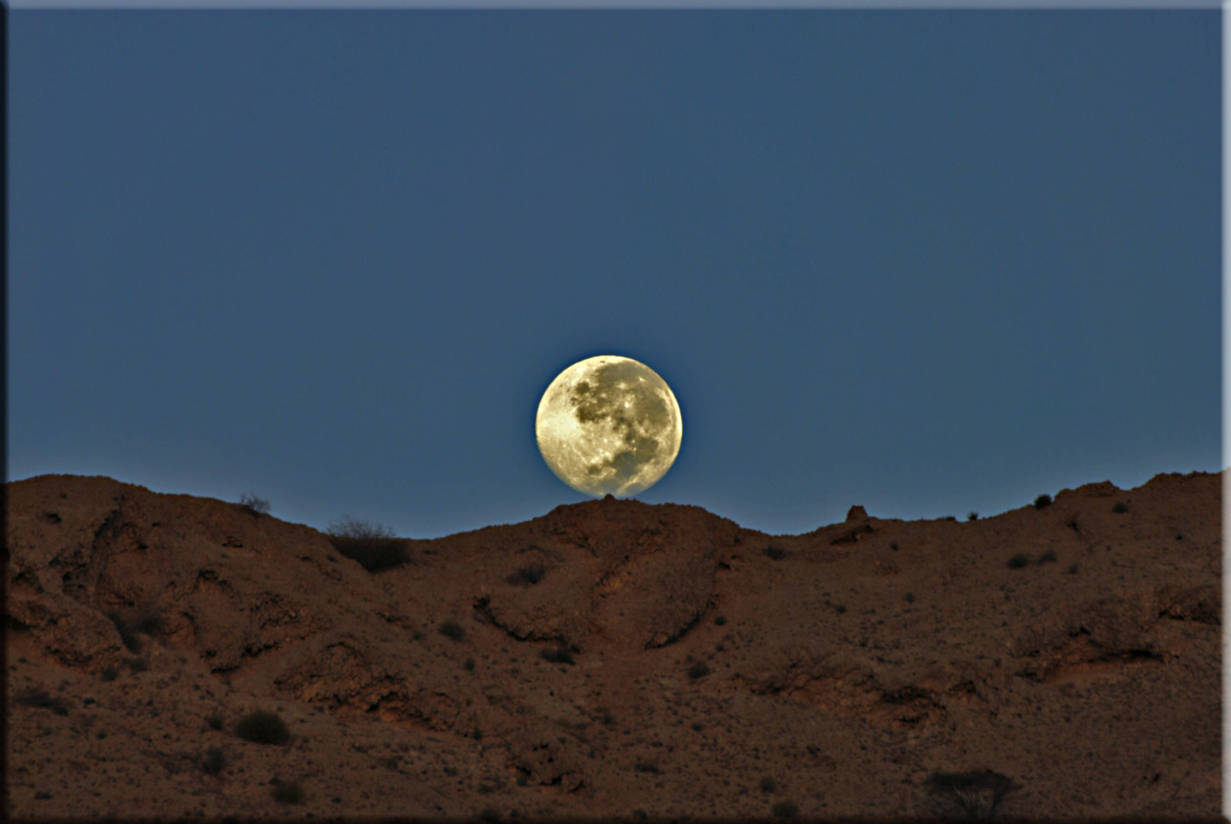 صور من ابداع اعضاء عمان فوتو