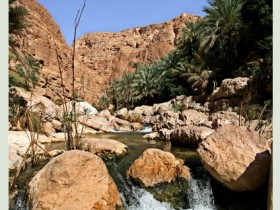 صور من ابداع اعضاء عمان فوتو
