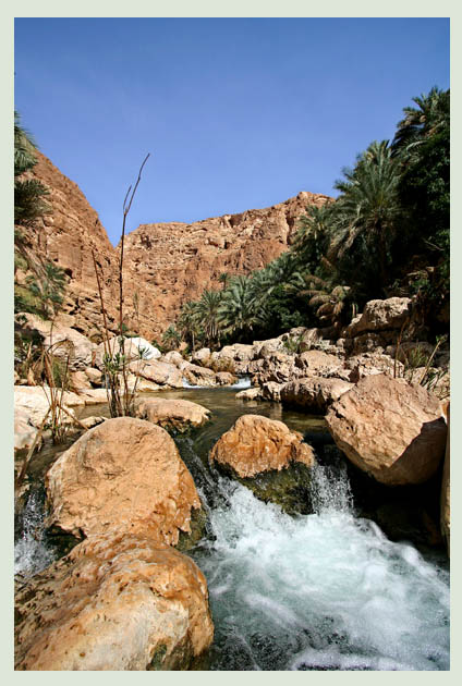 صور من ابداع اعضاء عمان فوتو