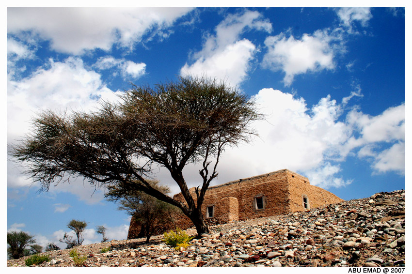 صور من ابداع اعضاء عمان فوتو