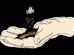 أزرع الخير عشان تحصده