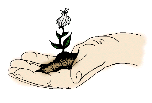 أزرع الخير عشان تحصده