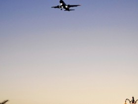 صور من ابداع اعضاء عمان فوتو