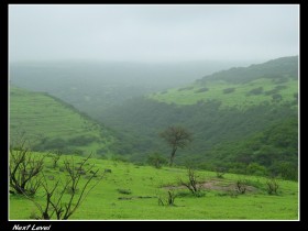 صور من ابداع اعضاء عمان فوتو