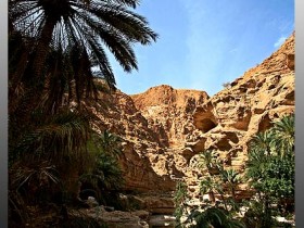 صور من ابداع اعضاء عمان فوتو