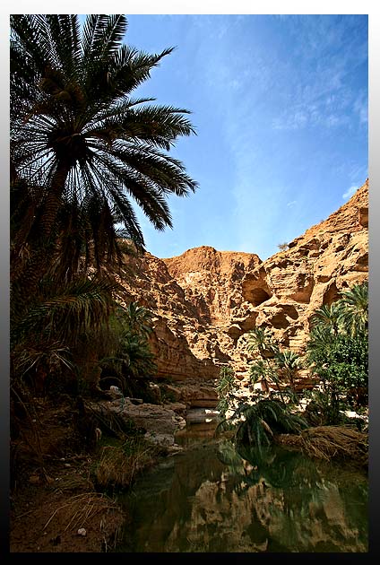 صور من ابداع اعضاء عمان فوتو
