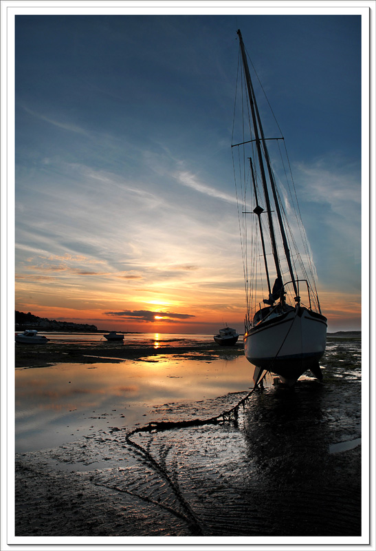 صور منوعة من الإنترنت