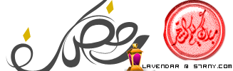 w8