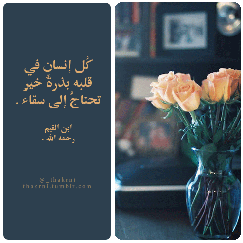 tumblr_mcx3n8oN311rbe95go1_500