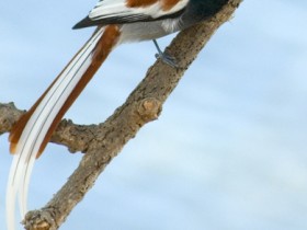 صور من ابداع اعضاء عمان فوتو