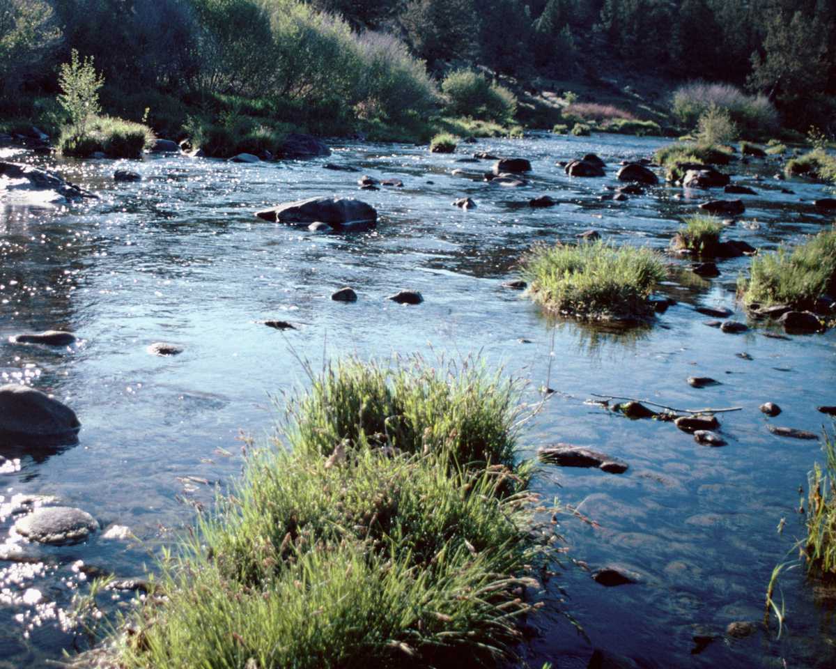 SCWT0177