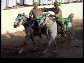 صور من ابداع اعضاء عمان فوتو