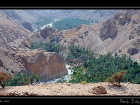 صور من ابداع اعضاء عمان فوتو