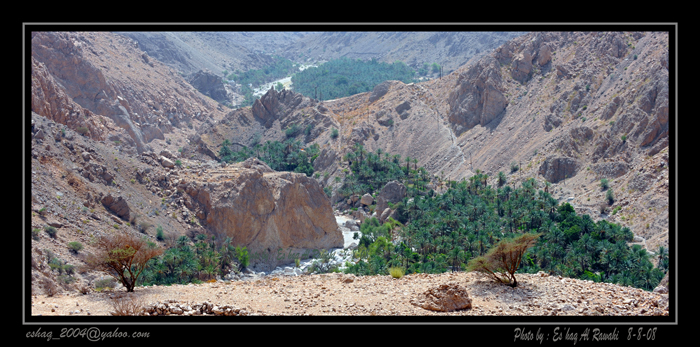 صور من ابداع اعضاء عمان فوتو