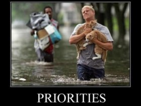 ماذا ستختار