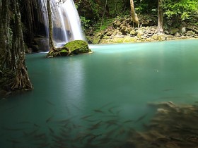 صور من ابداع اعضاء عمان فوتو