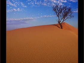 صور من ابداع اعضاء عمان فوتو
