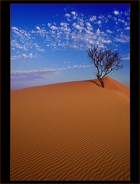 صور من ابداع اعضاء عمان فوتو