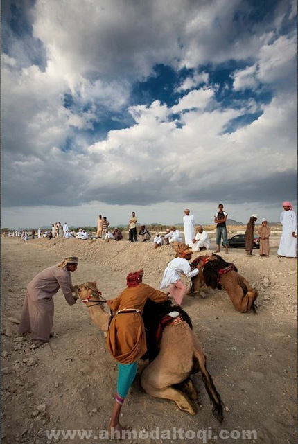 Screen_shot_2010-11-20_at_3_59_09_PM