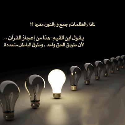 549954_10151419639733647_72511231_n