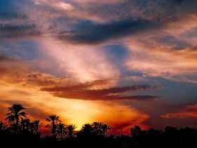 صور من ابداع اعضاء عمان فوتو