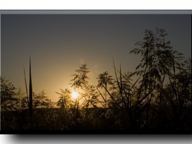 صور من ابداع اعضاء عمان فوتو