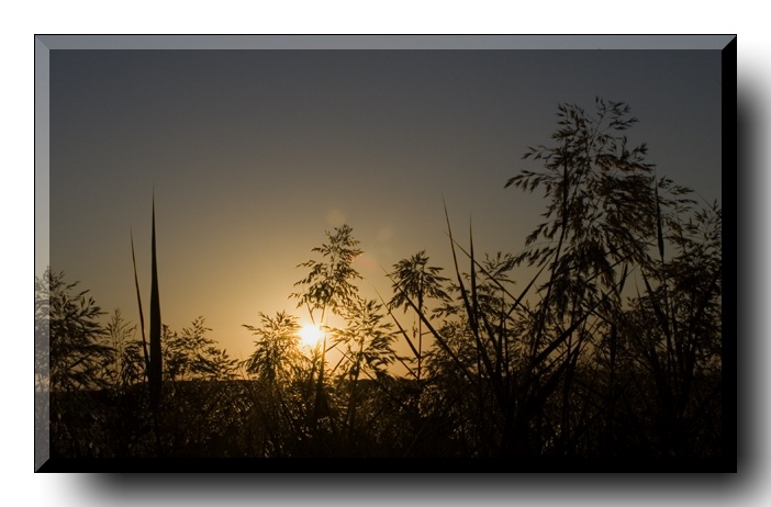 صور من ابداع اعضاء عمان فوتو