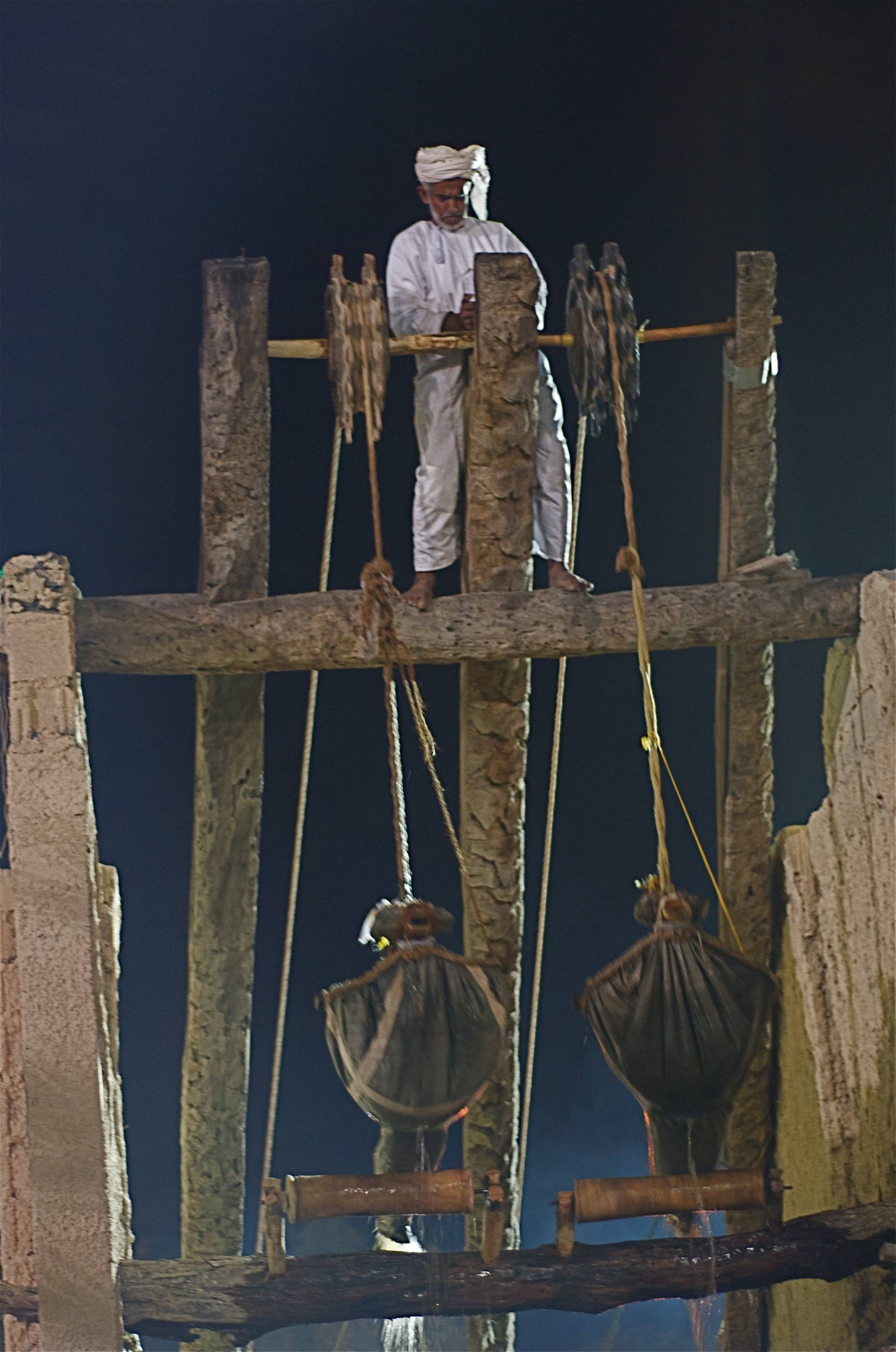 صور من ابداع اعضاء عمان فوتو