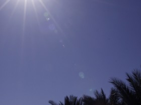 صور من ابداع اعضاء عمان فوتو
