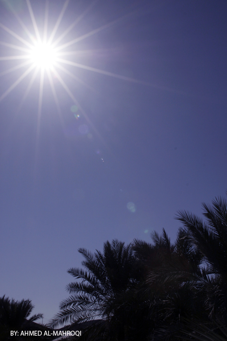 صور من ابداع اعضاء عمان فوتو